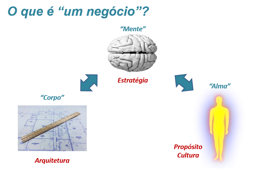 Visão Holística da Organização